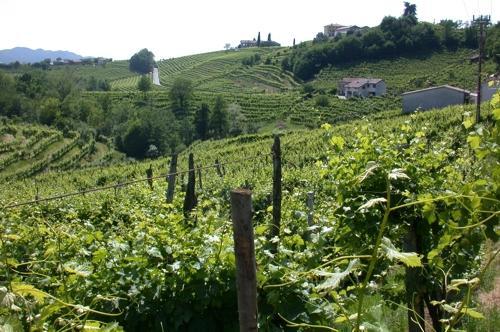 B&B Alla Pergola Valdobbiadene Luaran gambar
